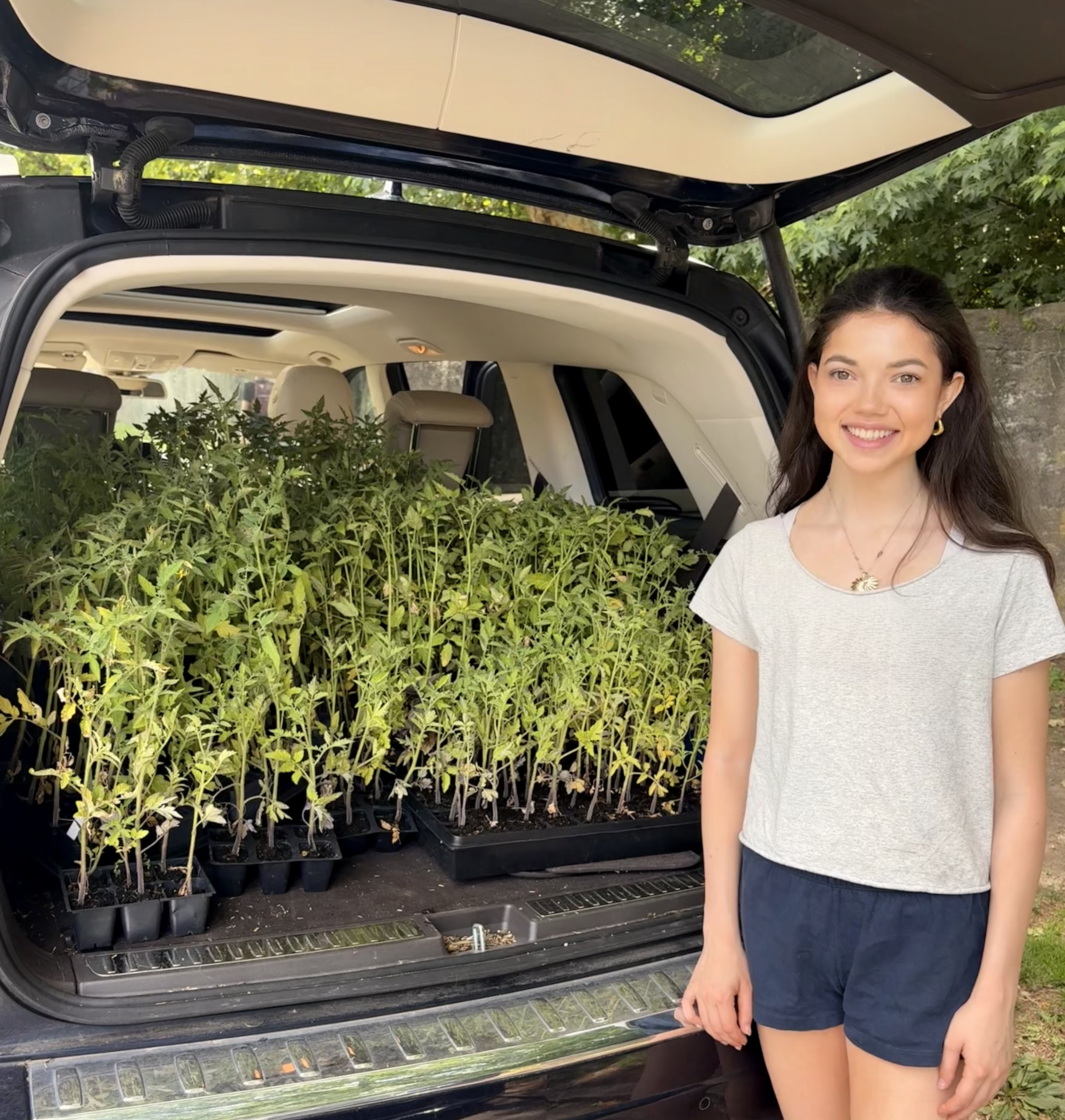 Heather Kaplan standing beside a car full of tomato seedlings
